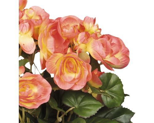 Kunstbloem begonia Ø 25 H 30 cm zalm