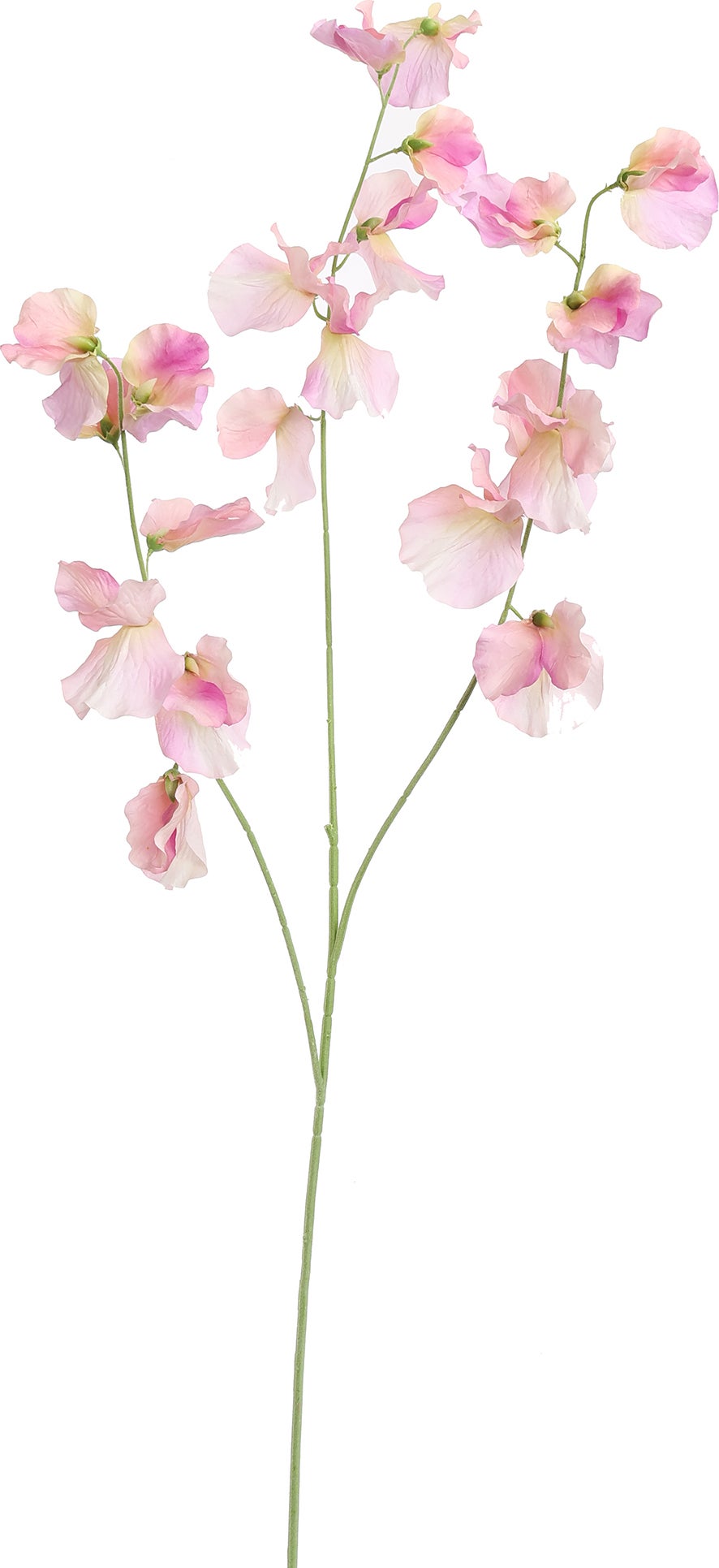 Jasaco PURE kunstbloem Lathyrus lichtpaars 115 cm