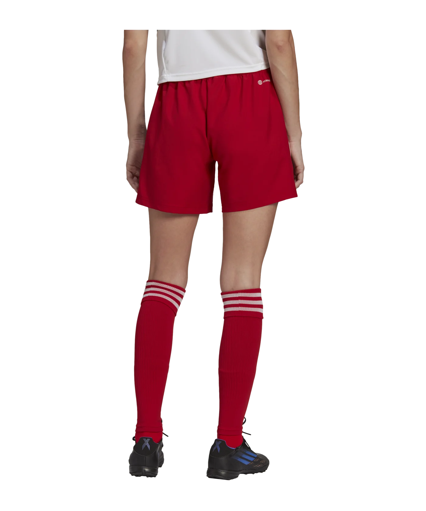 adidas Condivo 22 MD Short Damen Rot