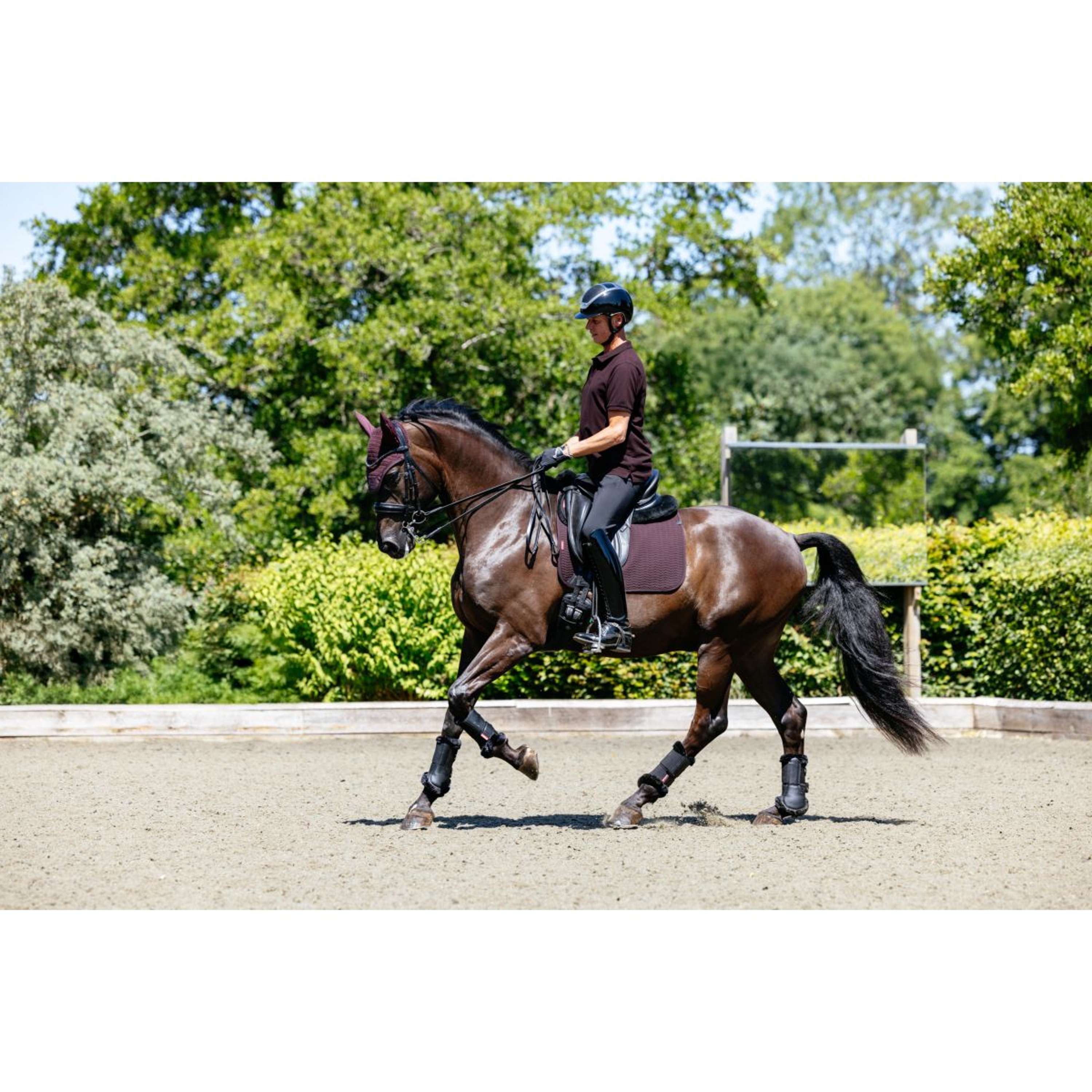 LeMieux Polo Classique Heren Damson