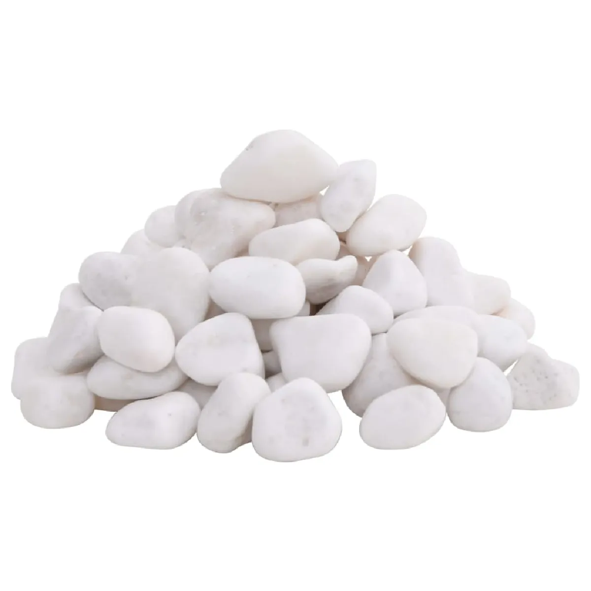 VidaXL Galets polis - 25 kg