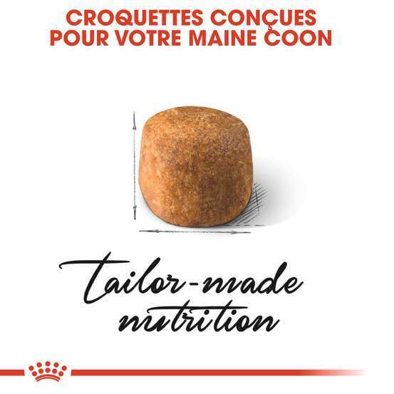 Croquettes chat Maine Coon Adulte à partir de 15 mois 4kg