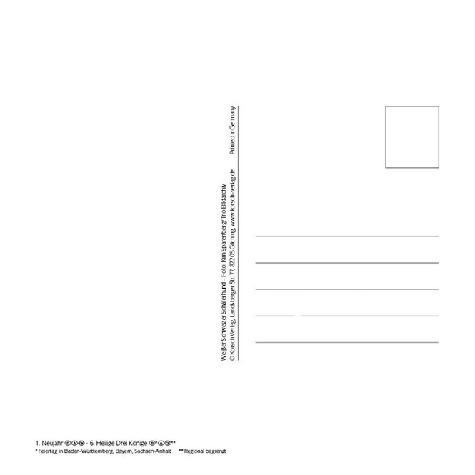 Postkartenkalender - Hunde - 2024