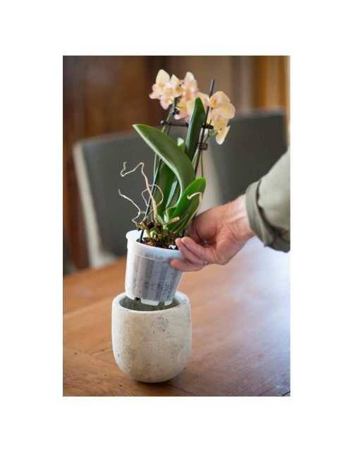 Nature Orchidee Pot Transparant Ø12cm - Kweekbenodigdheden - Ø12 cm Transparant