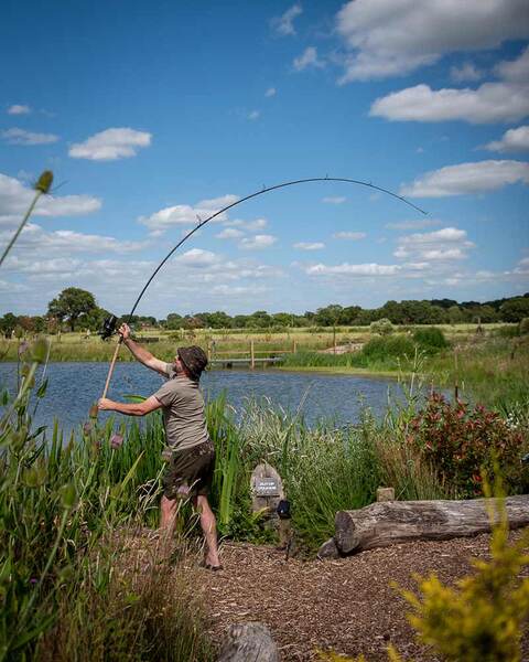Canne carpe Fox Horizon X3-S 12ft