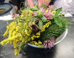 Kräuterwanderung in Wien als Geschenkidee
