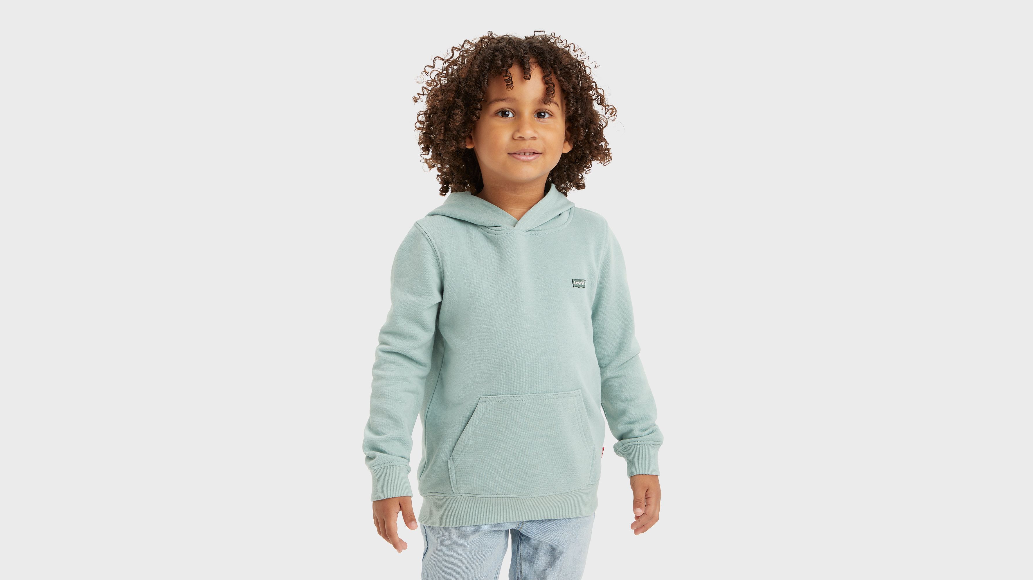 Enfant pull over mini Batwing - Levi'S Blue Surf - Vert