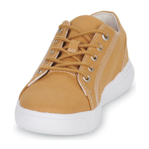 Timberland - SENECA BAY FABRIC OX - Beige / Blanc