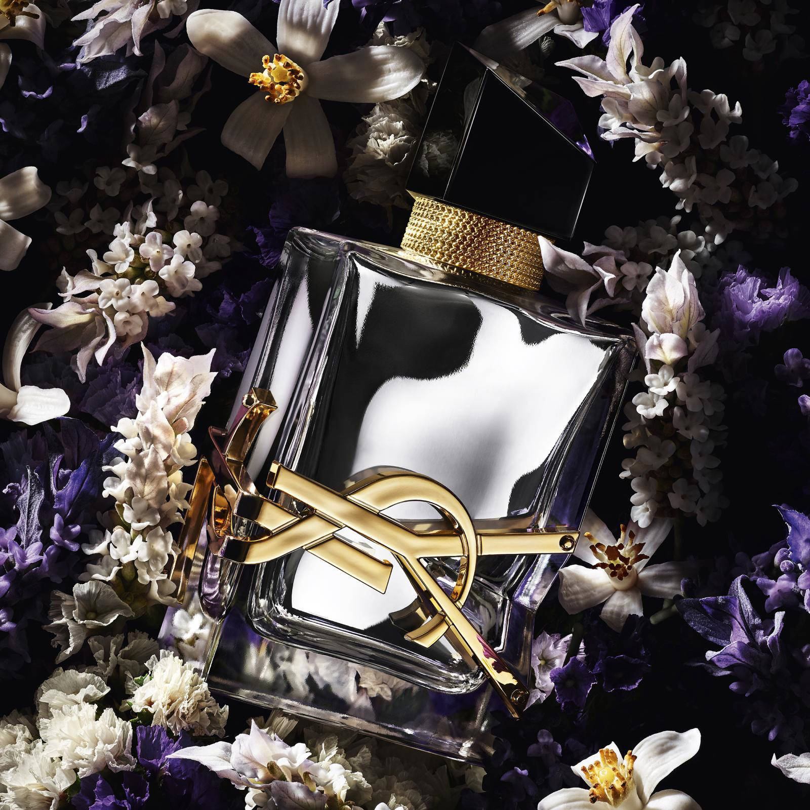 Yves Saint Laurent Absolu Platine - 50 ml