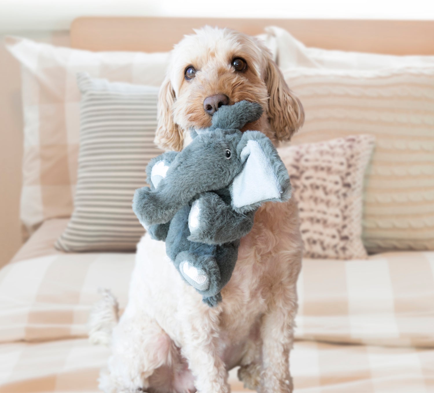 Kong hondenspeelgoed knuffel Comfort Kiddos olifant grijs S
