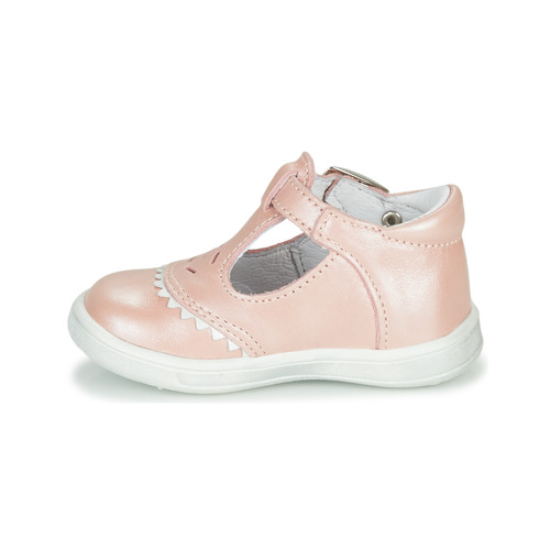 GBB - AGENOR - Rose