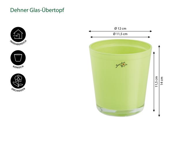 Dehner Glas-Übertopf, konisch, ca. Ø12 cm