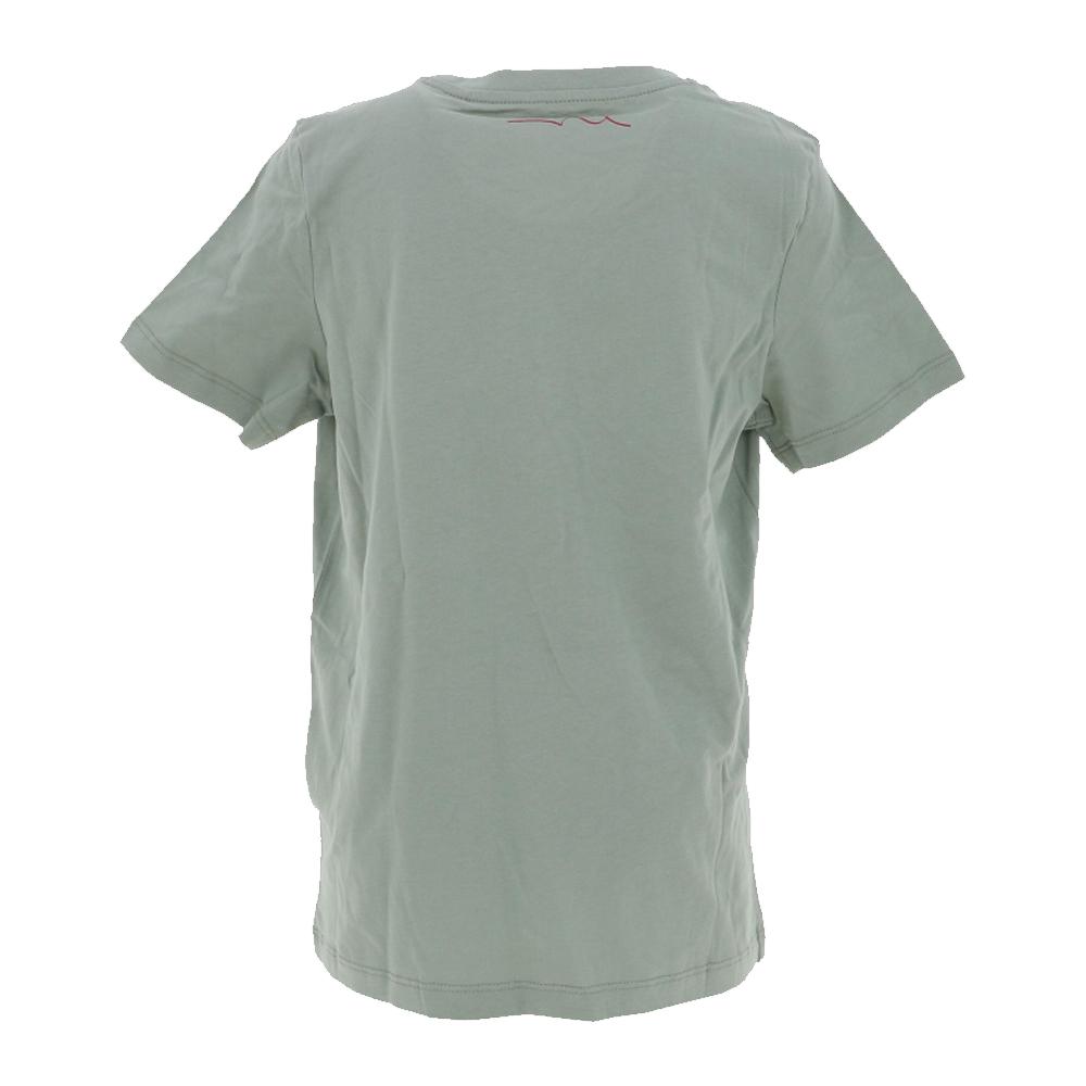 Teddy Smith T-shirt Vert Bleuté Garçon Teddy Smith Evan