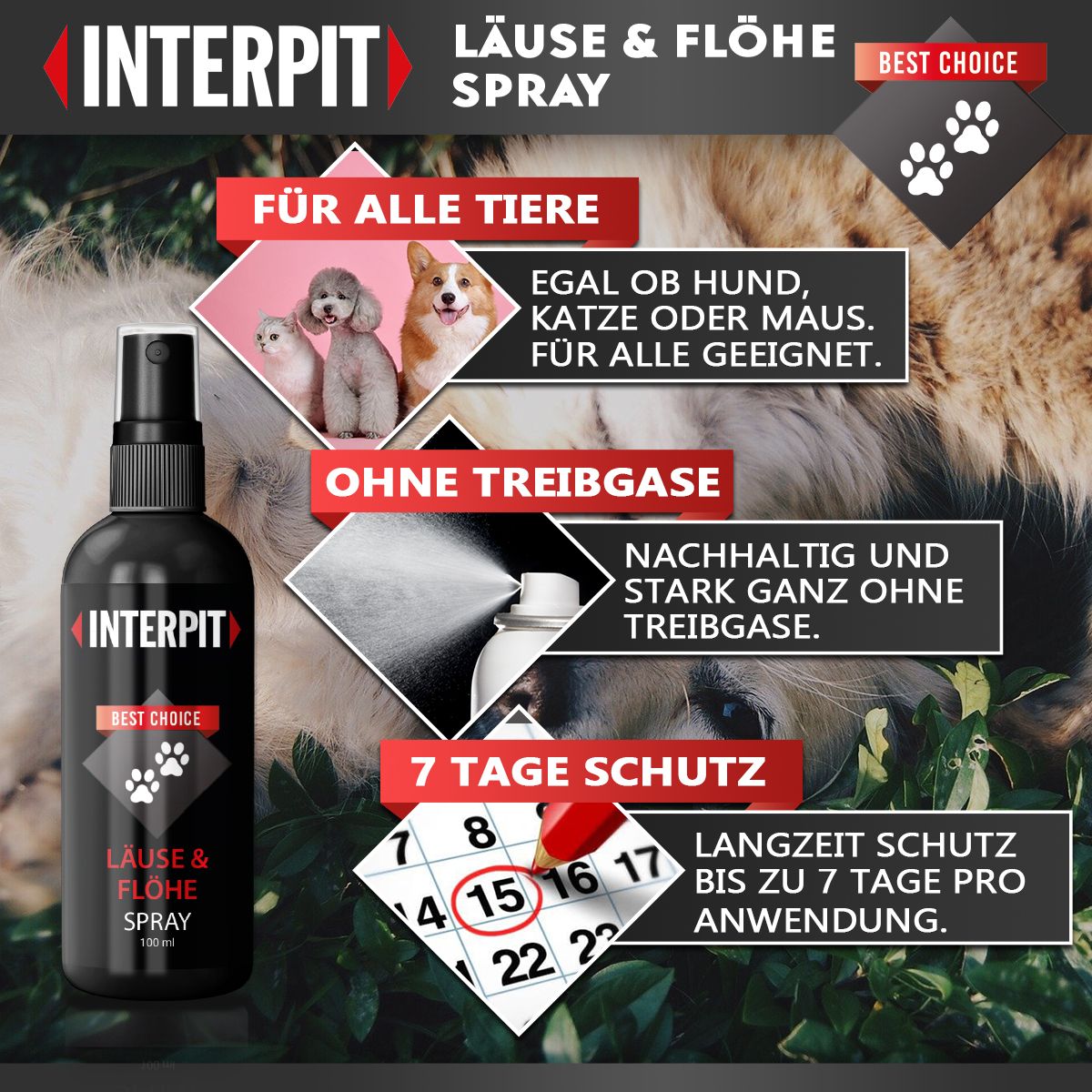 Interpit® | Läuse & Flöhe Spray für Tiere