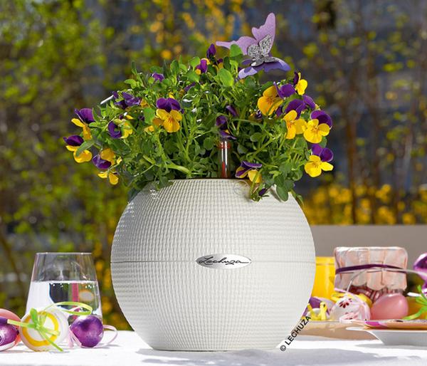 LECHUZA® PURO Color, All-in-One-Set, rund,