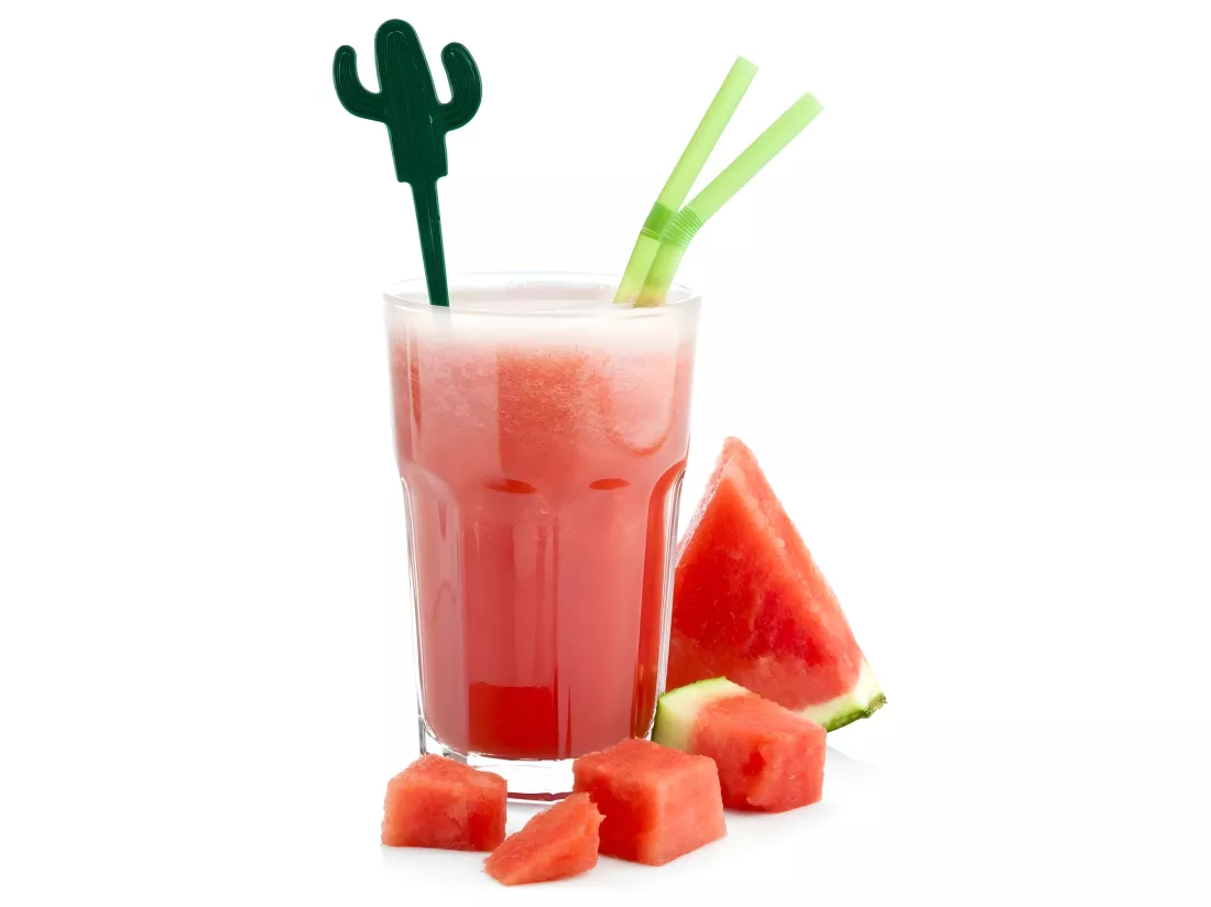 Moule à glaçons avec 4 agitateurs cactus