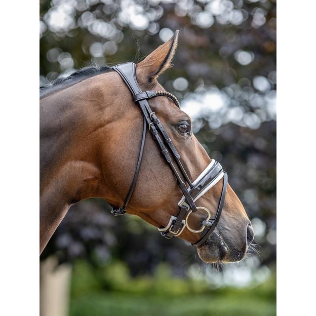 Hoofdstel LeMieux Kudos Dressage Lak Bruin-wit