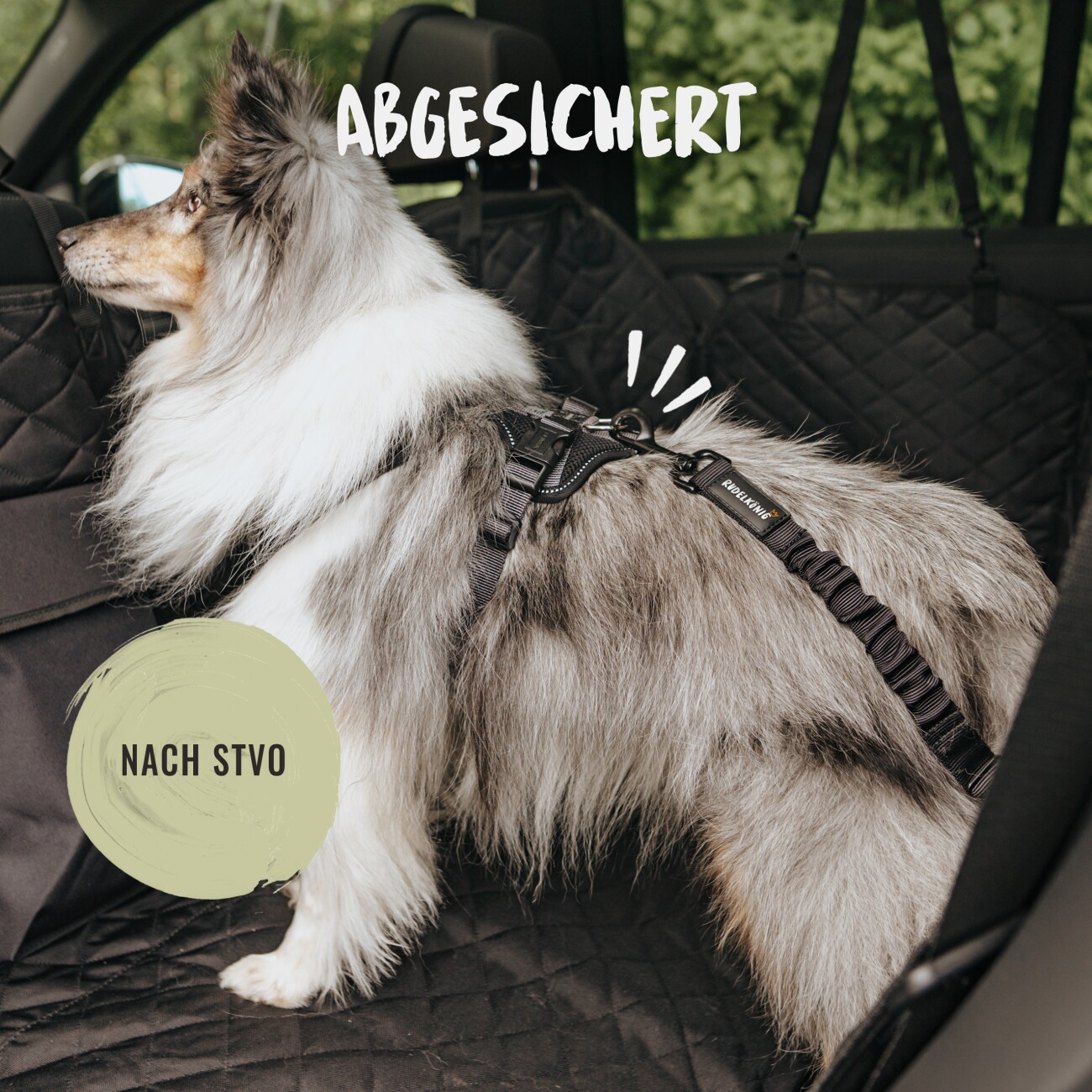 Rudelkönig Sicherheitsgurt - Hundegurt für sicheres Reisen