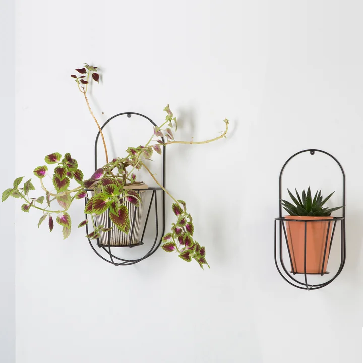 OK Design - Cibele Wand-Blumentopfhalter Large, schwarz