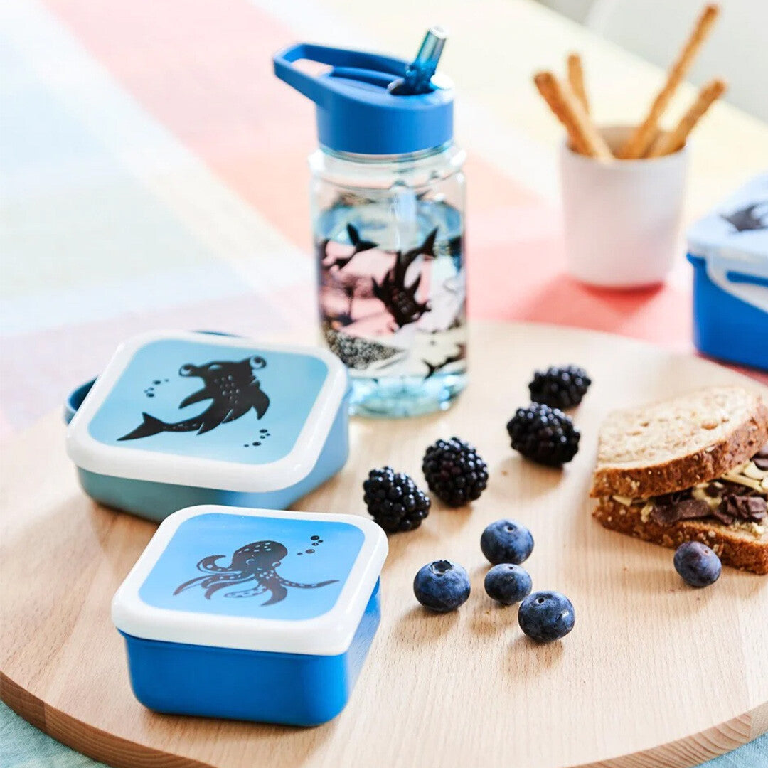 Petit monkey snackdoosjes sea animals - 3st