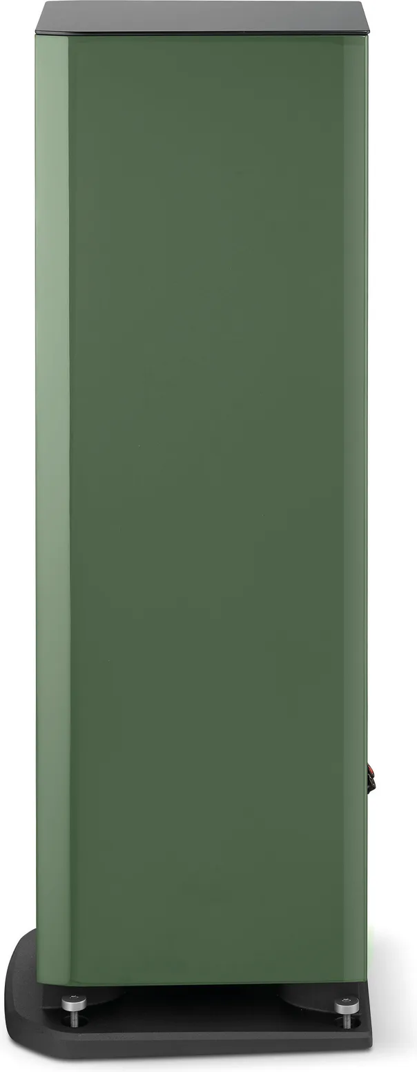 Focal Aria Evo X N°2 Vert (la paire) Enceintes colonne