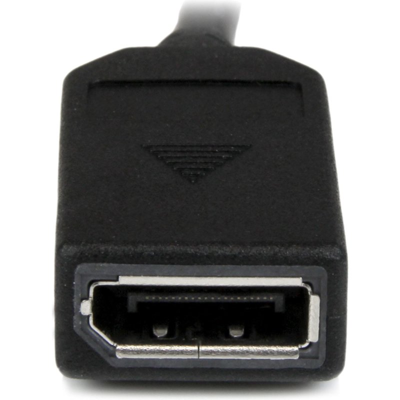 StarTech.com Câble adaptateur DMS-59 (LFH) vers 2x DisplayPort de 20cm - Câble en Y DMS 59 (M) vers double DP (F)