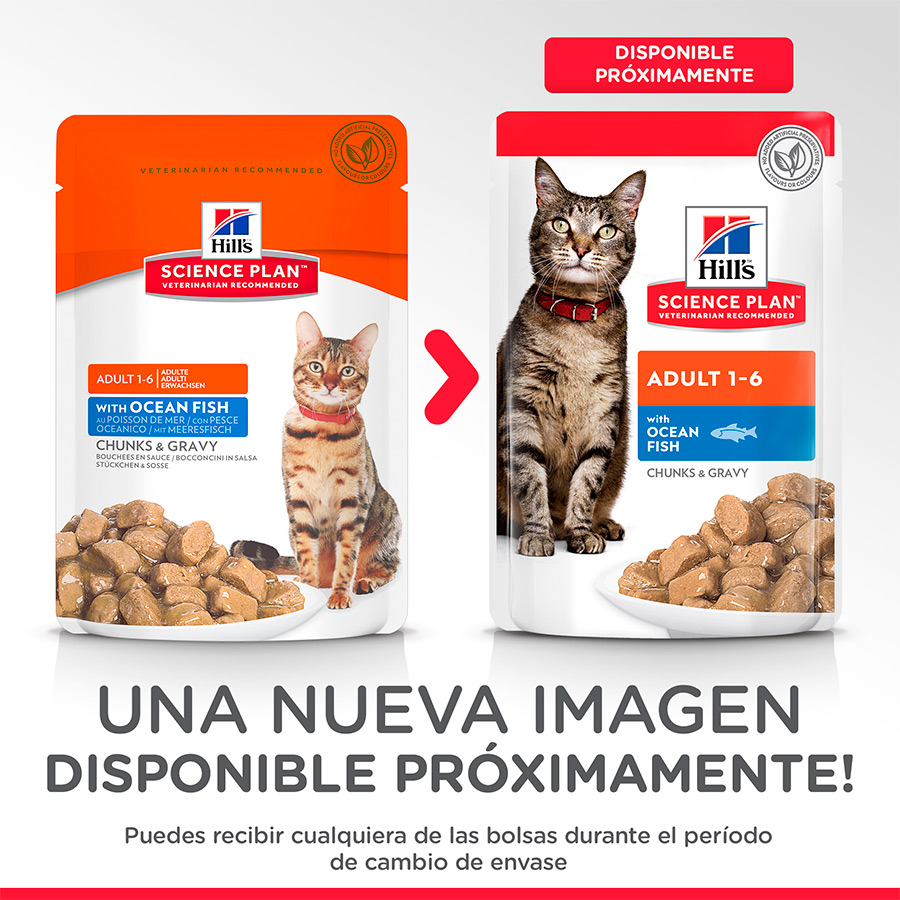 Sachê de peixe adulto da Hill's Science Plan para gatos