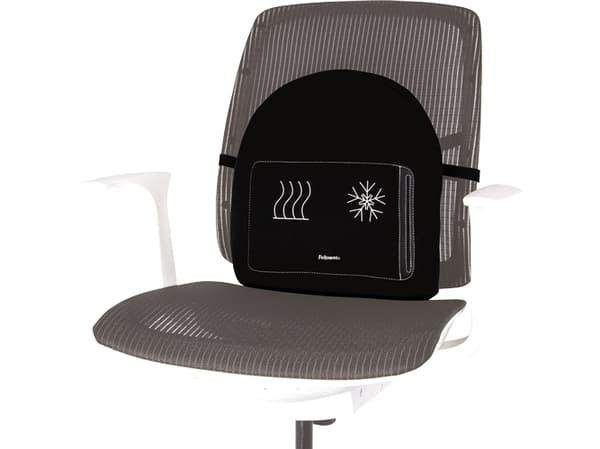 Fellowes Professional Series Warming/Cooling Back Support (8041901)