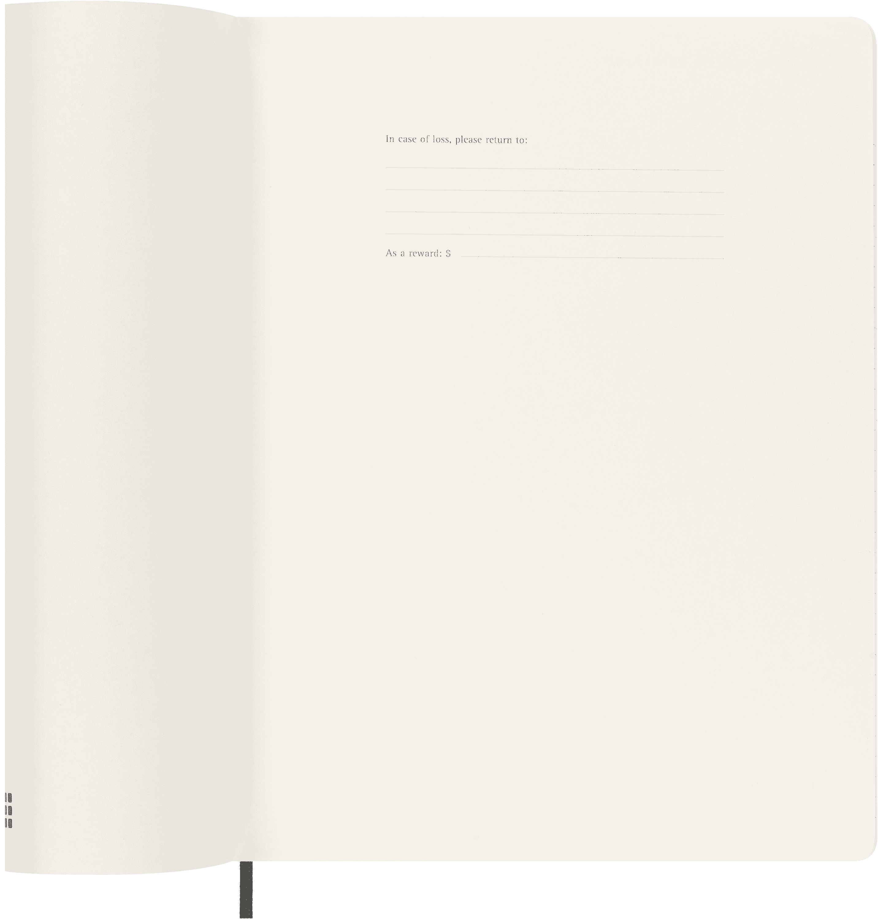 Classic Planner 2025 XL Weekly, soft cover, 12 months