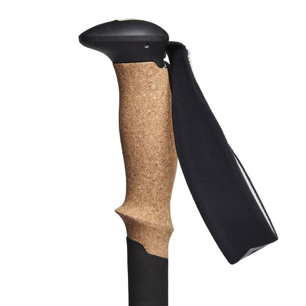 Bâton de randonnée BLACK DIAMOND PURSUIT TREKKING POLES CHARCOAL-FOAM GREEN