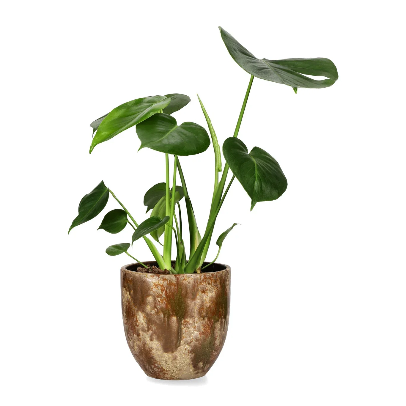 Potte Aurelia Ø16,5 cm
