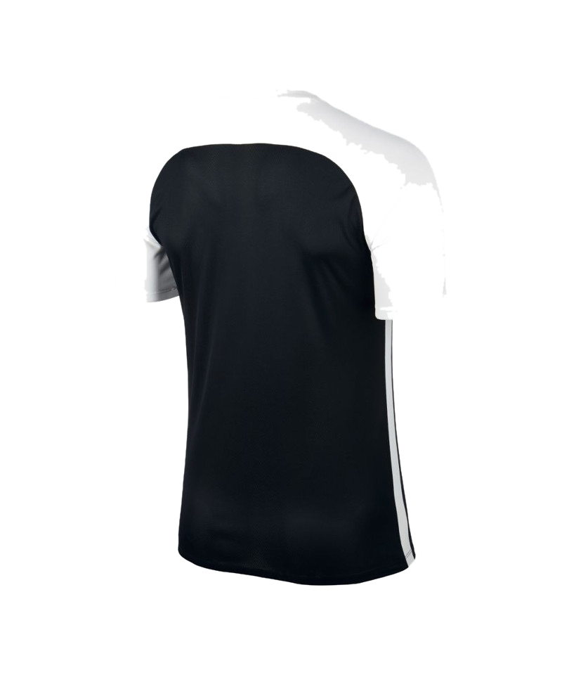 Nike Striped Segment III Trikot kurzarm Weiss F100