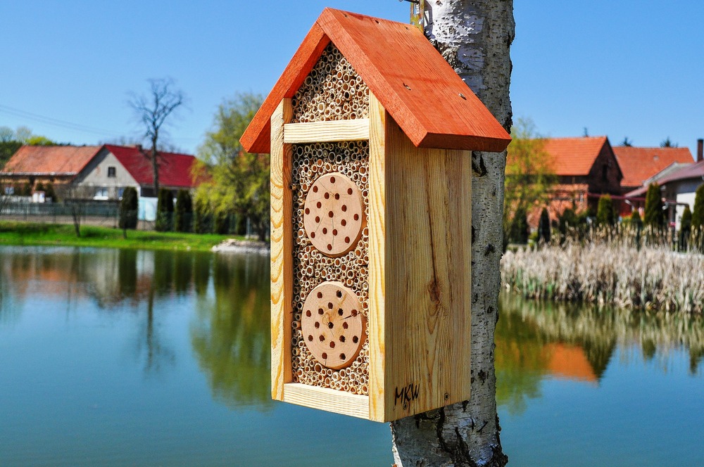 Gite à insectes premium