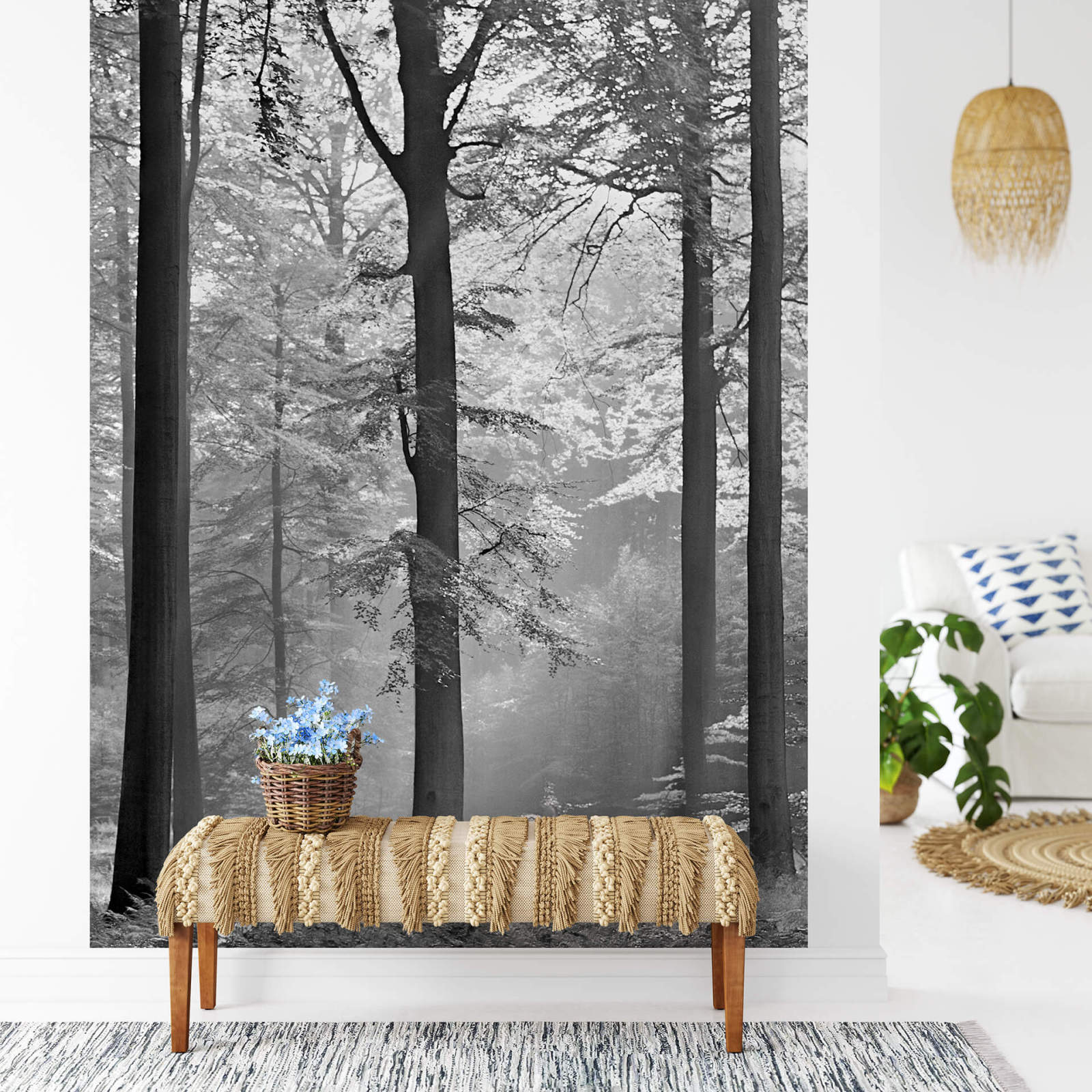 Fototapete DESIGNWALLS 2.0 - schwarz-weiß - Wald - 2,6 Meter