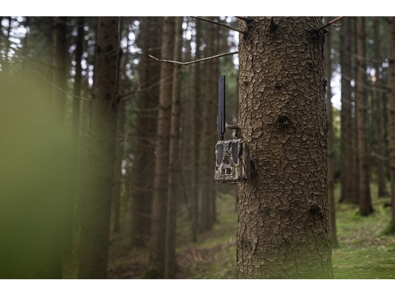 Dörr Kamera Wildkamera SnapShot Cloud Pro 4G WA Weitwinkel Überwachungskamera für hochauflösende Wildtierbeobachtung und Sicherheitsüberwachung