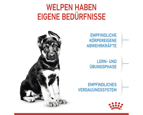 ROYAL CANIN Maxi Puppy droogvoer voor puppy's van grote rassen, 15 kg