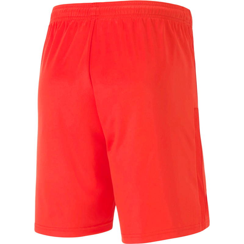 Puma teamGOAL 23 Knit Træningsshorts Herre