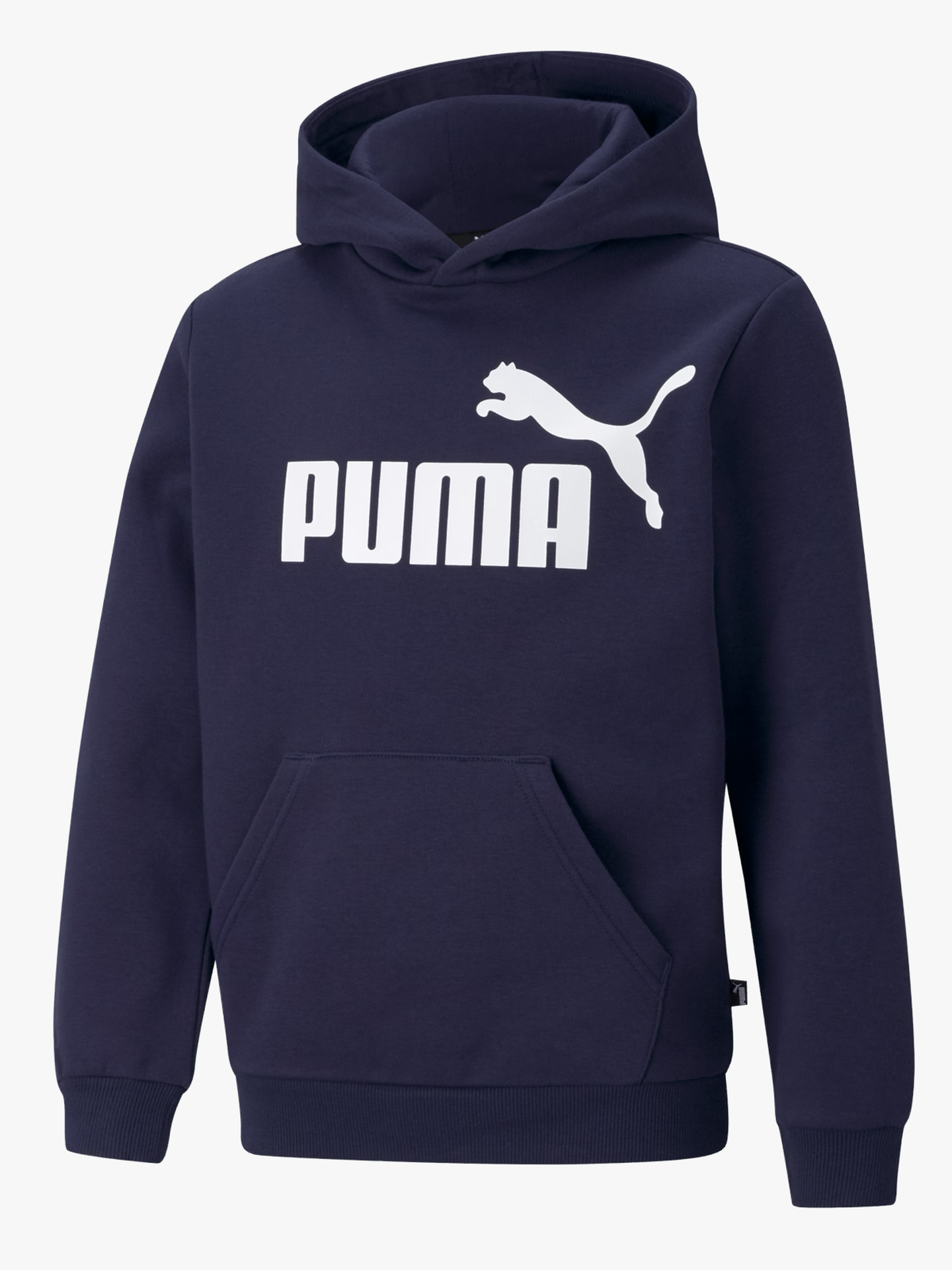 Essentials Big Logo Hoodie