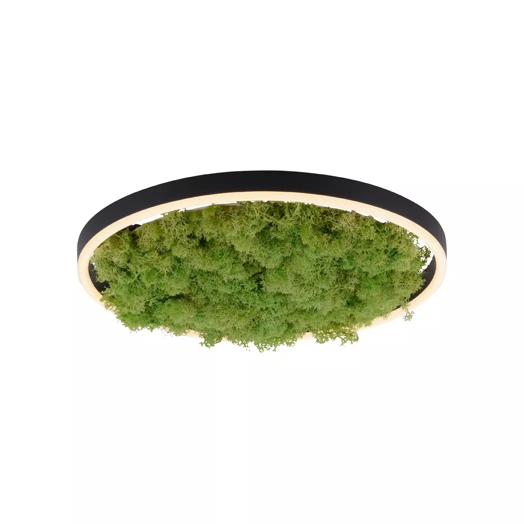 LED-Deckenleuchte Green Ritu