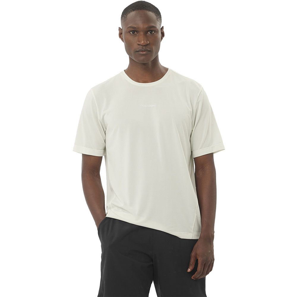 Salomon SHAKEout CORE T-Shirt Herren etherea