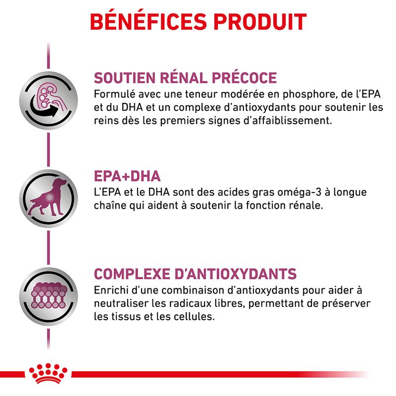 Royal Canin Veterinary Early Renal