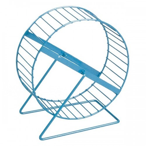 Roda-gigante de metal azul