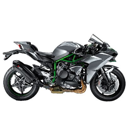 Silencieux Akrapovic Carbone