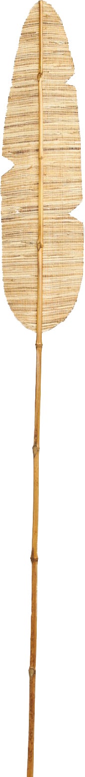 Dijk Natural Collections decoratieblad Hyacinth naturel 150 x 16 x 1 cm