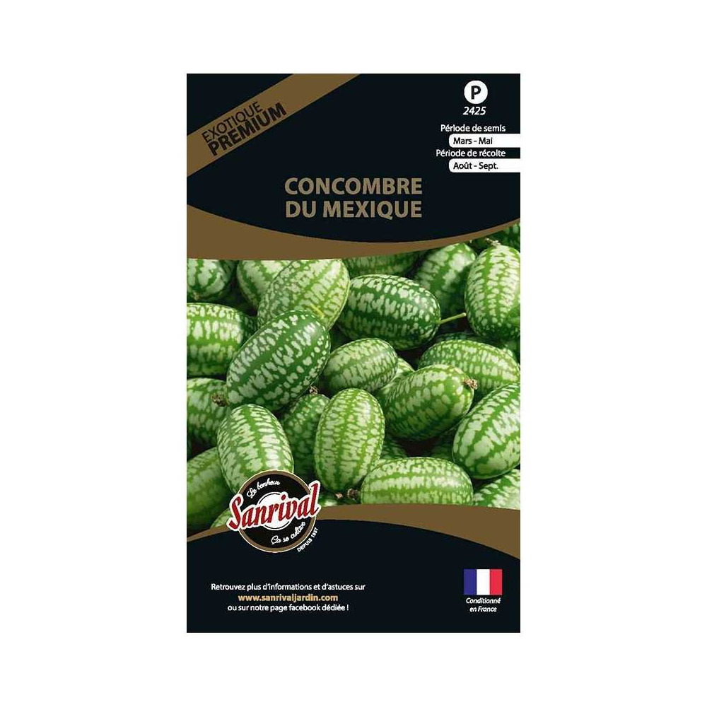 Graines potagères premium concombre du mexique