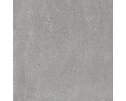 Porseleinen steengoed wand- en vloertegel Meran grijs 59,7 x 59,7 cm 6 mm dik mat gerectificeerd