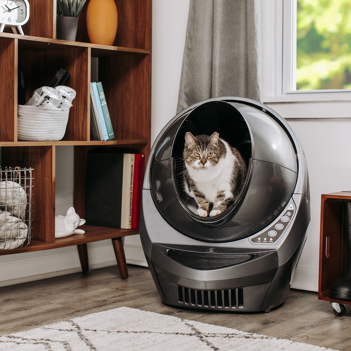 Whisker Litter-Robot 3 Connect Automatic Cat Litter Box (grå)