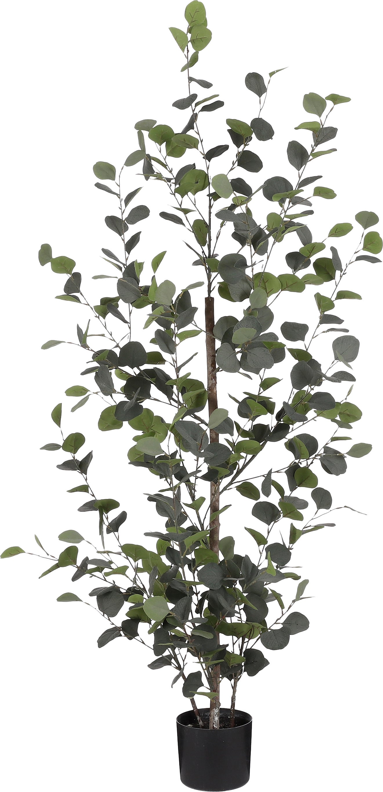 Mica Decorations kunstplant Eucalyptus groen D 30 H 150 cm