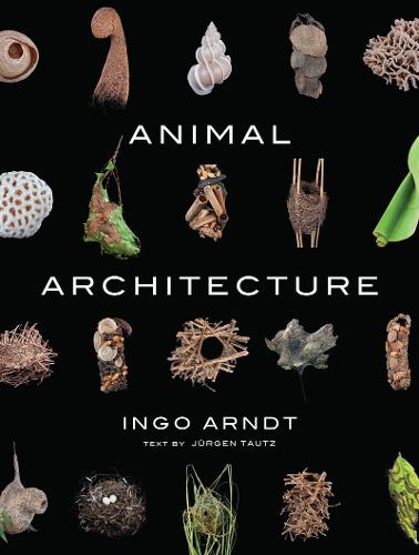 Animal Architecture (Hardback)