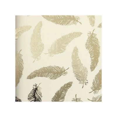 Clairefontaine Premium - Papier cadeau - 70 cm x 2 m - 80 g/m² - disponible dans différents motifs